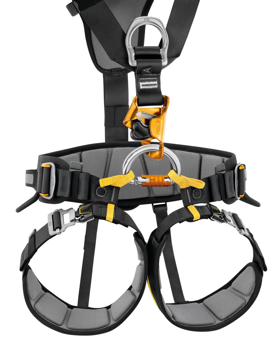 Petzl harness store